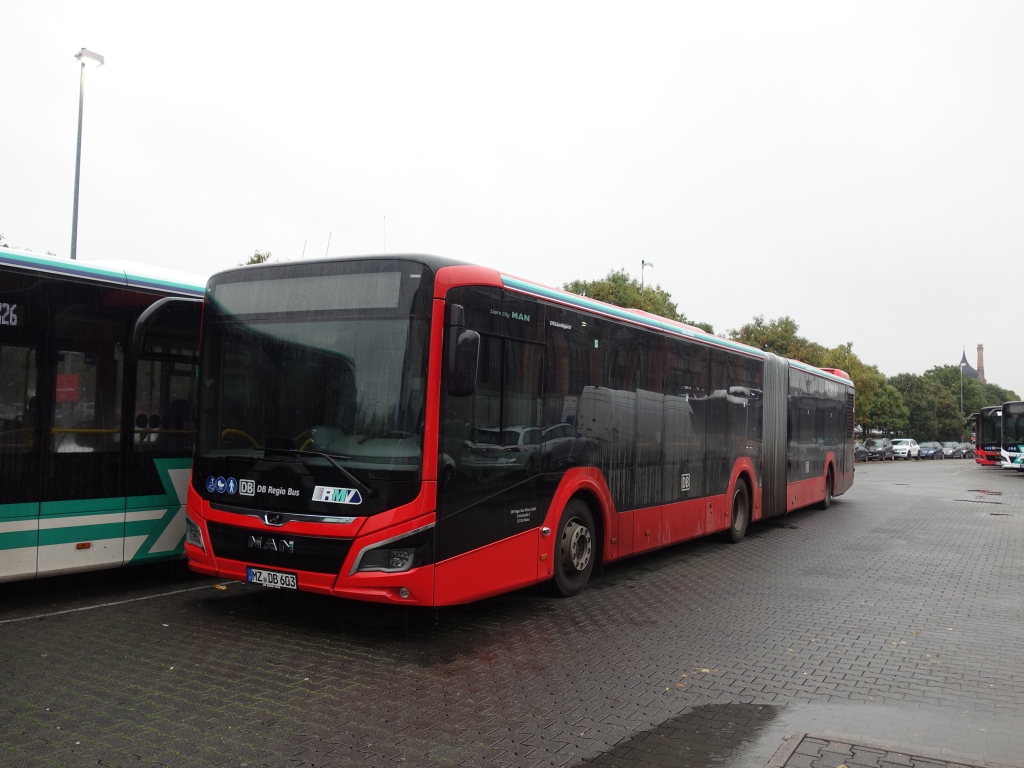 Рейнланд-Пфальц, MAN 18C Lion's City 18 NG360 EfficientHybrid № MZ-DB 603