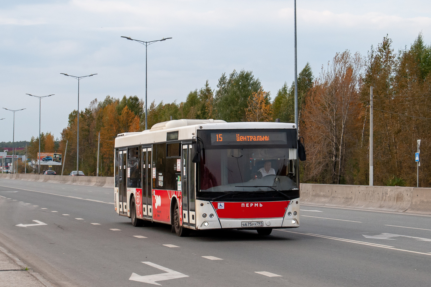 Пермский край, МАЗ-203.016 № А 675 УУ 797 Пермский край, МАЗ-203.016 № А 675 УУ 797
