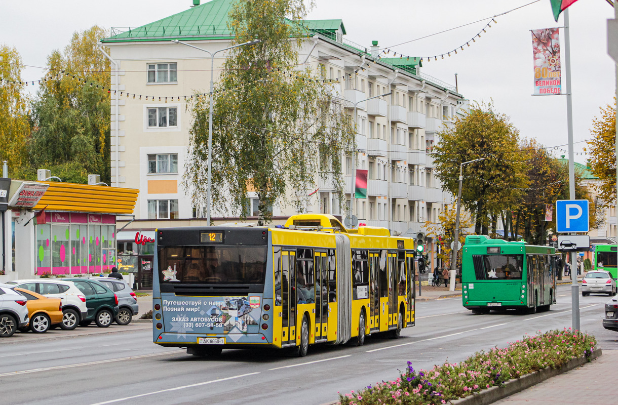 Брестская область, МАЗ-215.069 № 12190; Брестская область, МАЗ-203.047 № 12350