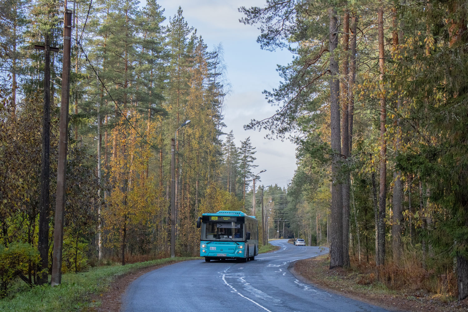 Санкт-Петербург, ЛиАЗ-5292.67 (LNG) № 31076