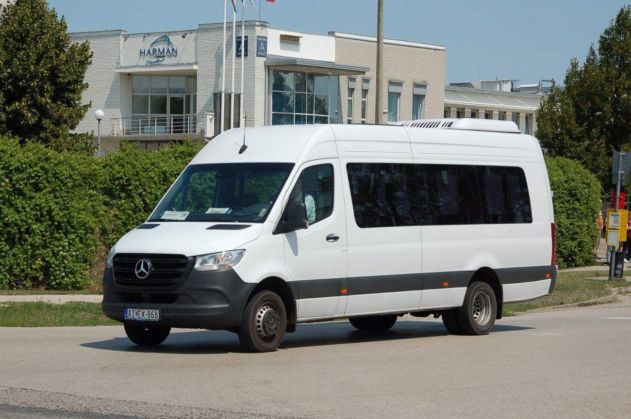Венгрия, Luxury Minibus Classic № AI EX-868