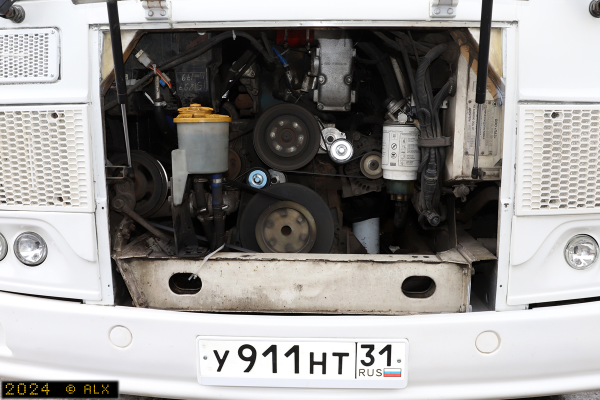 Воронежская область, ПАЗ-4234-04 № 06429