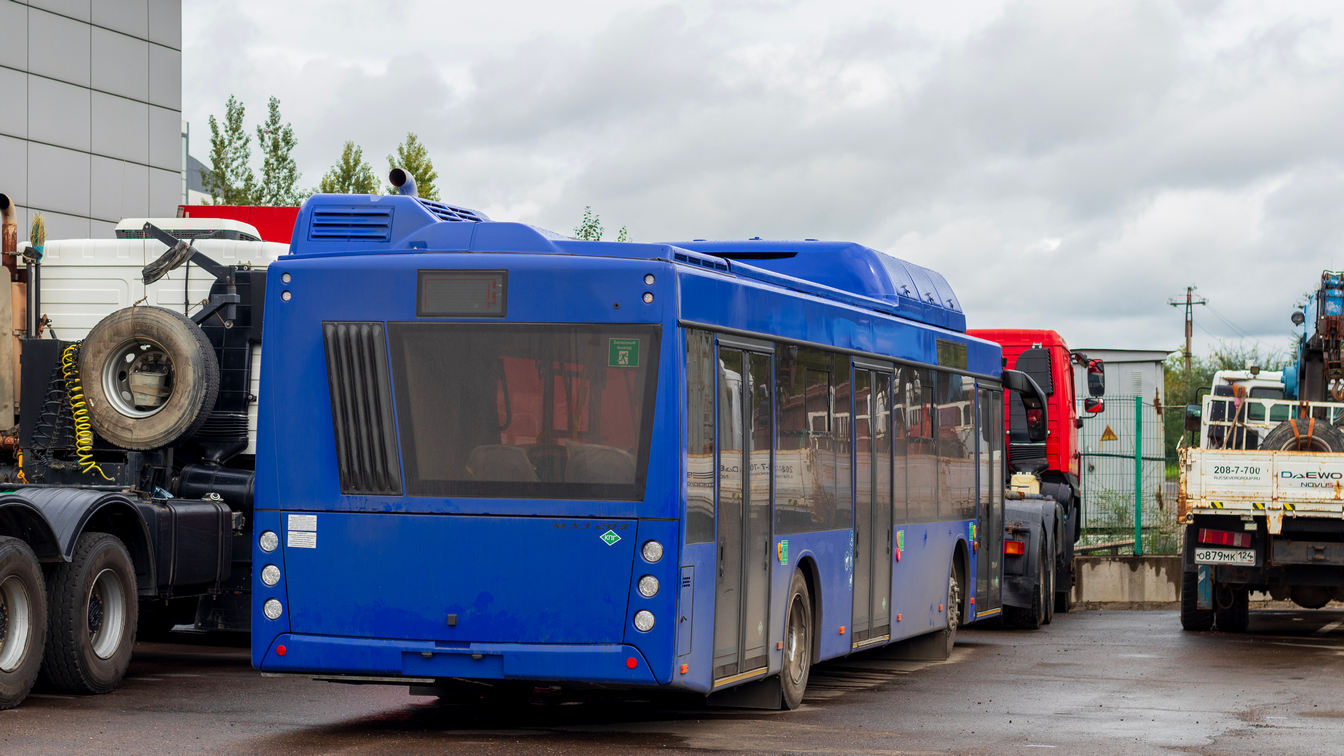 Красноярский край, МАЗ-203.948 № К 642 ТУ 124; Красноярский край — Новые автобусы
