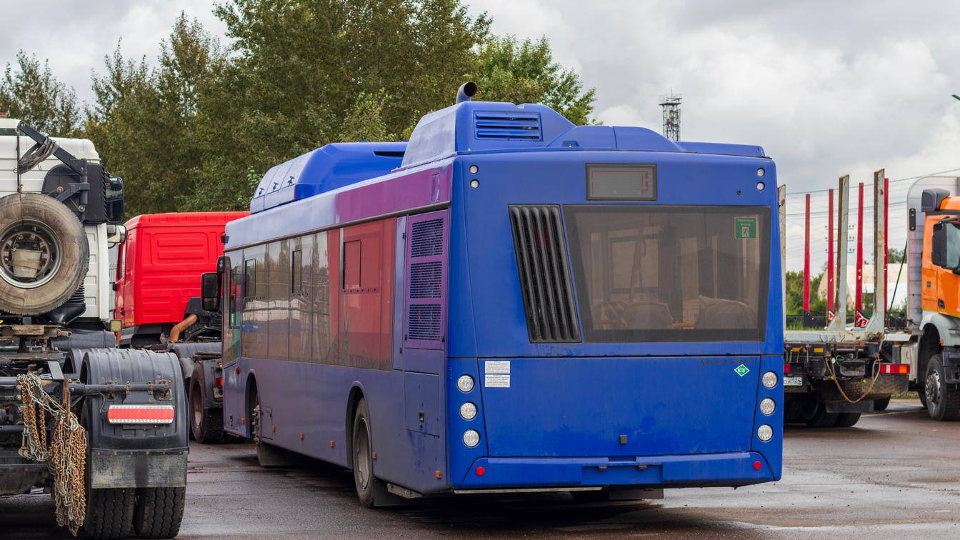 Красноярский край, МАЗ-203.948 № К 642 ТУ 124; Красноярский край — Новые автобусы