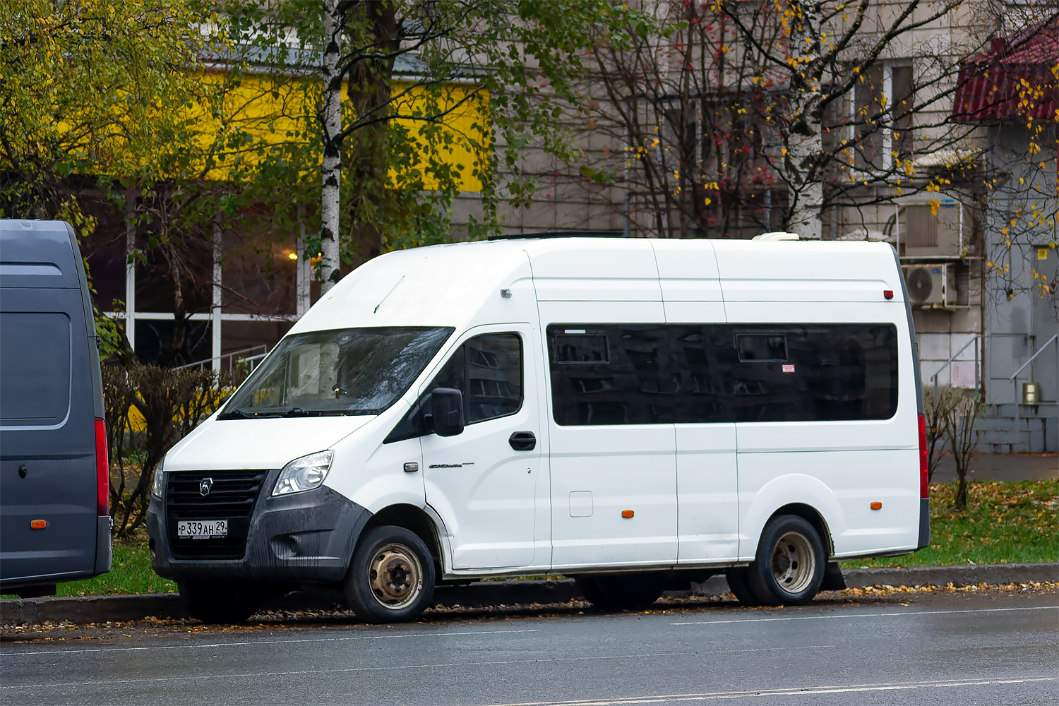 Архангельская область, Луидор-225020 (ГАЗ A69) № Р 339 АН 29