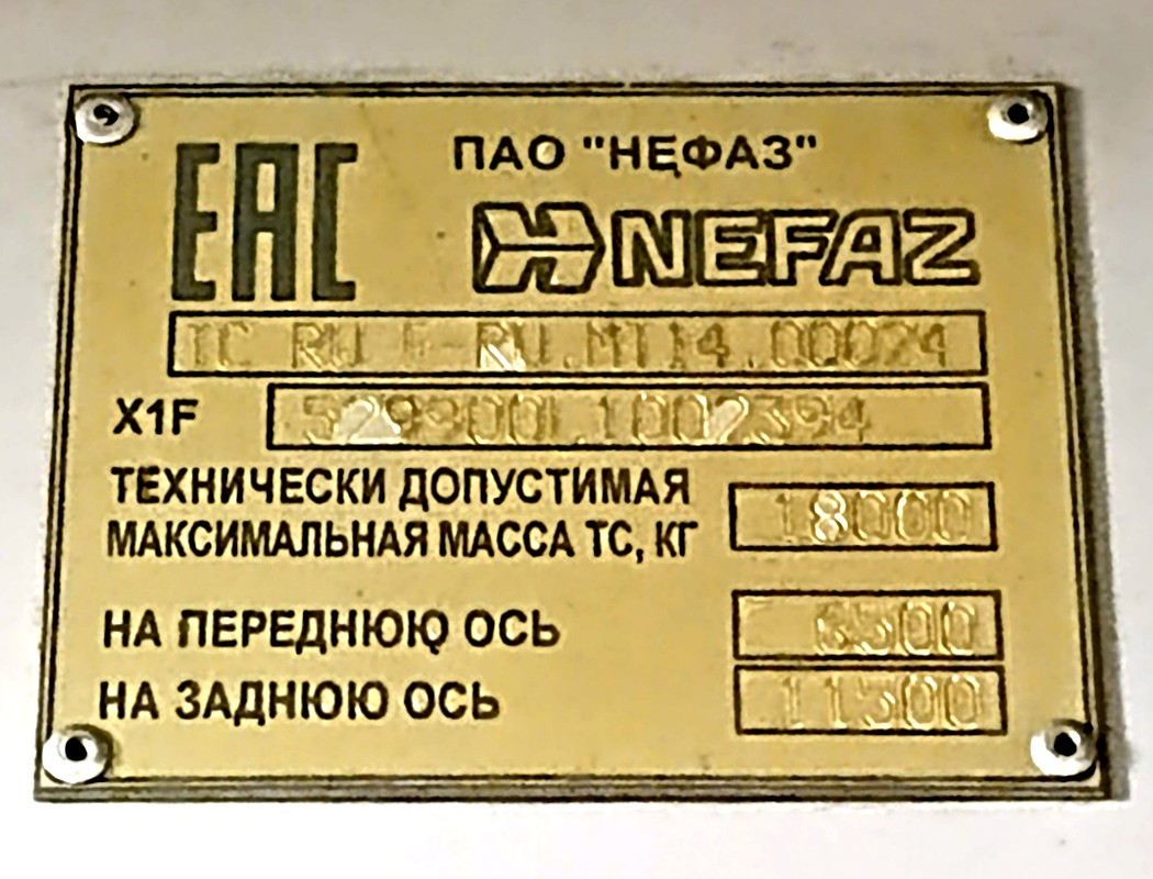 Башкортостан, НефАЗ-5299-30-56 № 6163