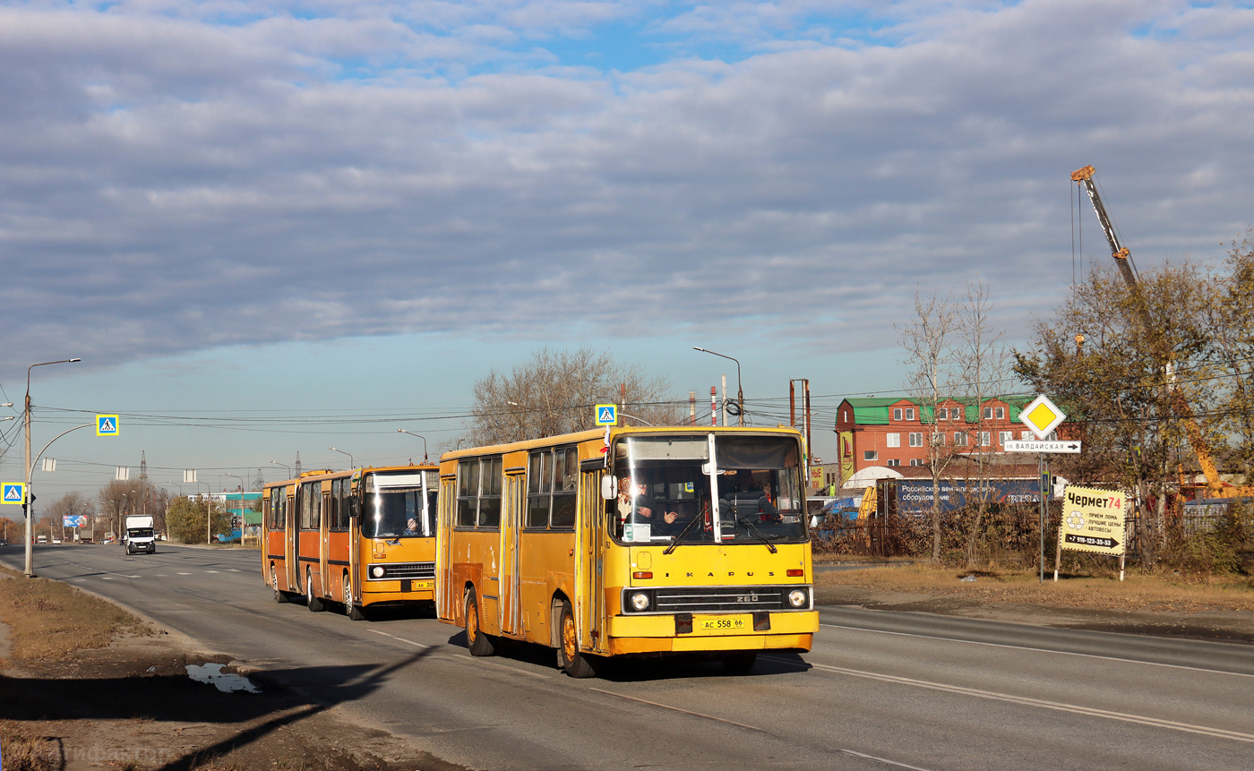 Челябинская область, Ikarus 260.01 № АС 558 66 Челябинская область, Ikarus 260.01 № АС 558 66