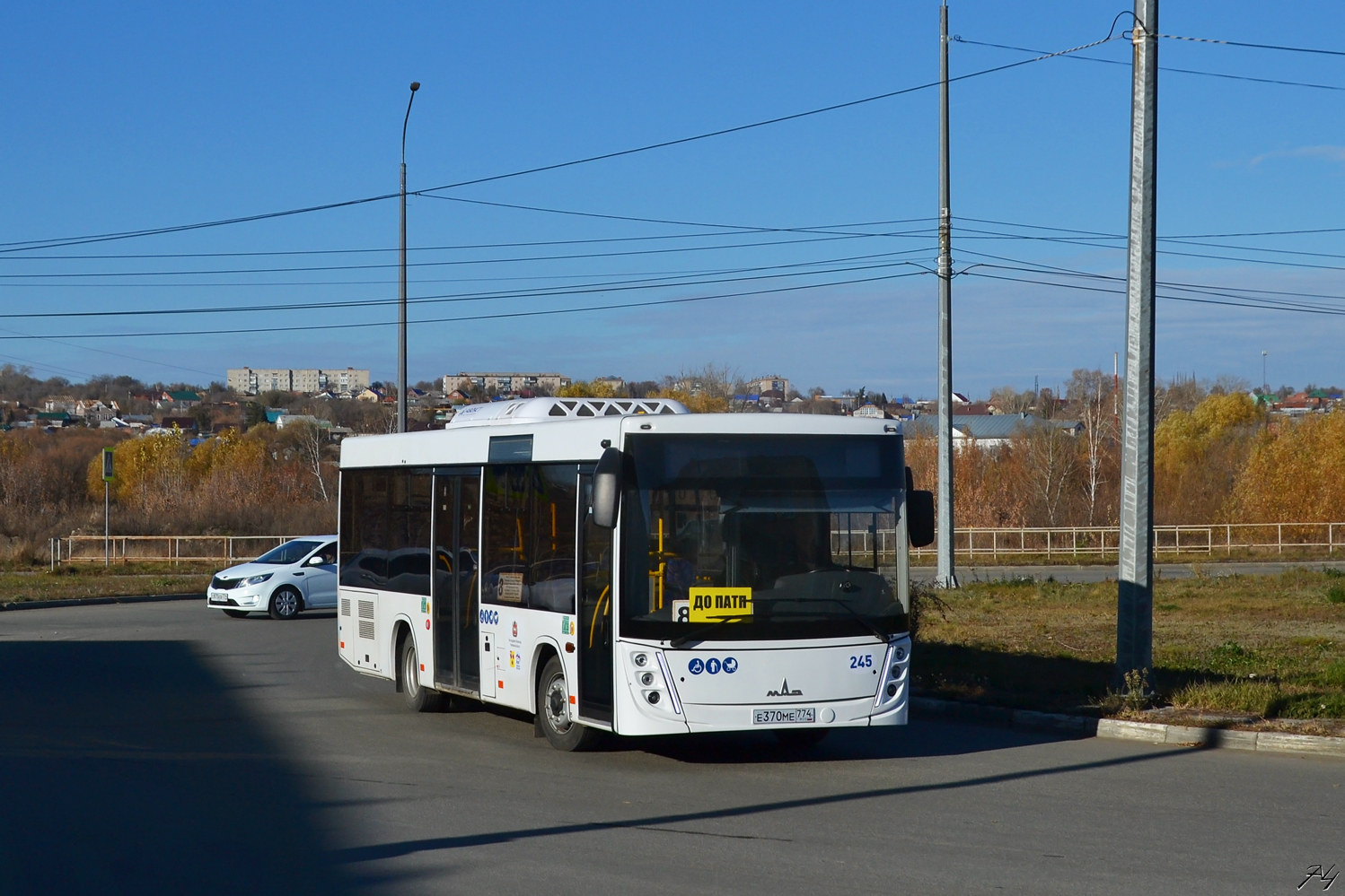 Челябинская область, МАЗ-206.047 № 245