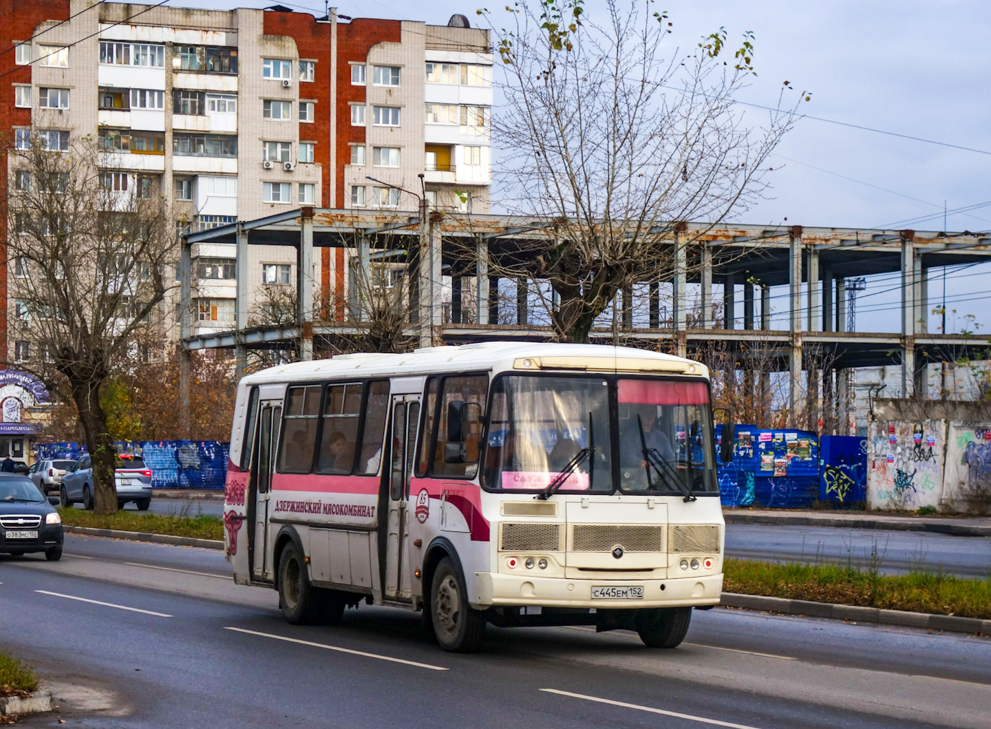 Нижегородская область, ПАЗ-4234-04 № С 445 ЕМ 152