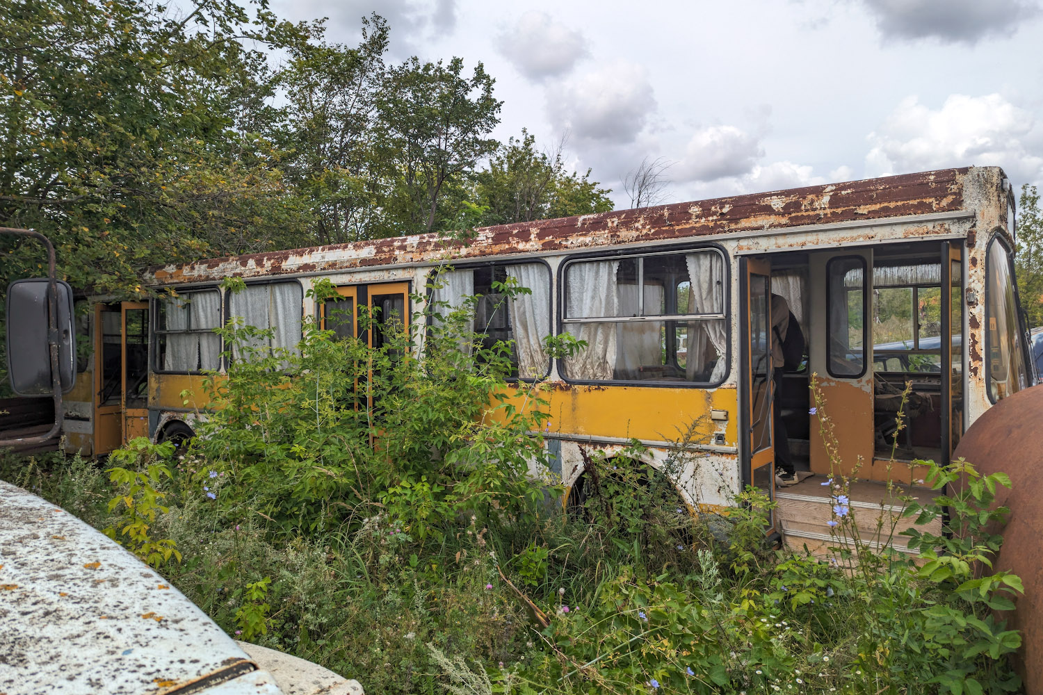 Рязанская область — Разные фотографии