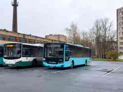 Санкт-Петербург, Volgabus-5270.00 № 1597; Санкт-Петербург, Volgabus-5270.04 № 1576