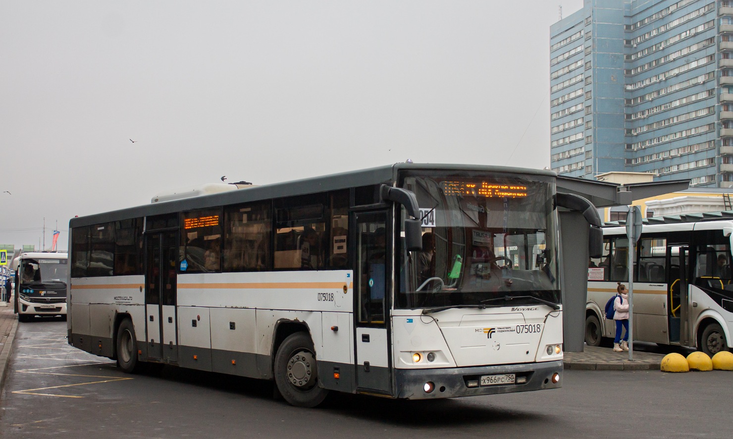 Московская область, ЛиАЗ-5250 № 075018