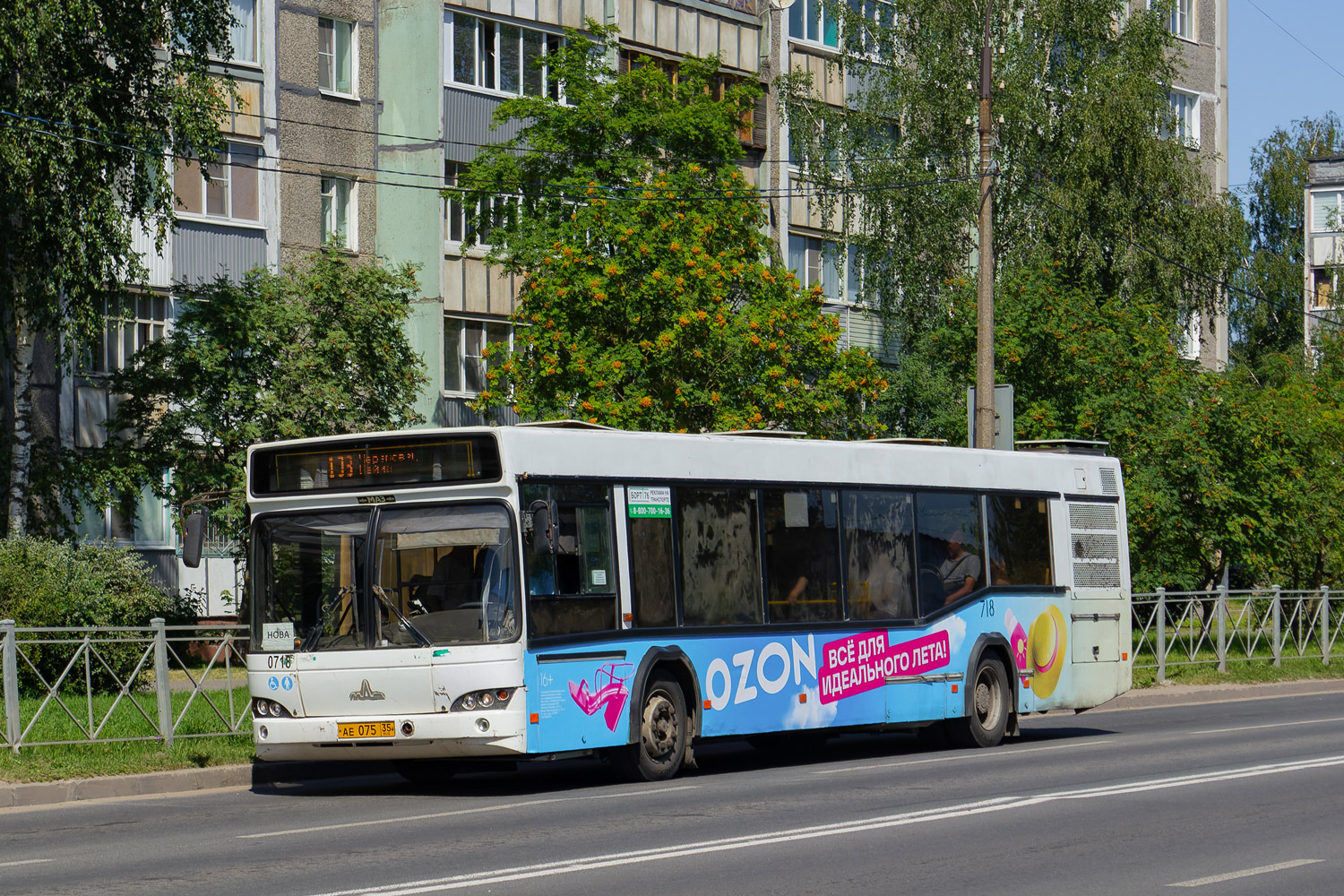 Вологодская область, МАЗ-103.469 № 0718