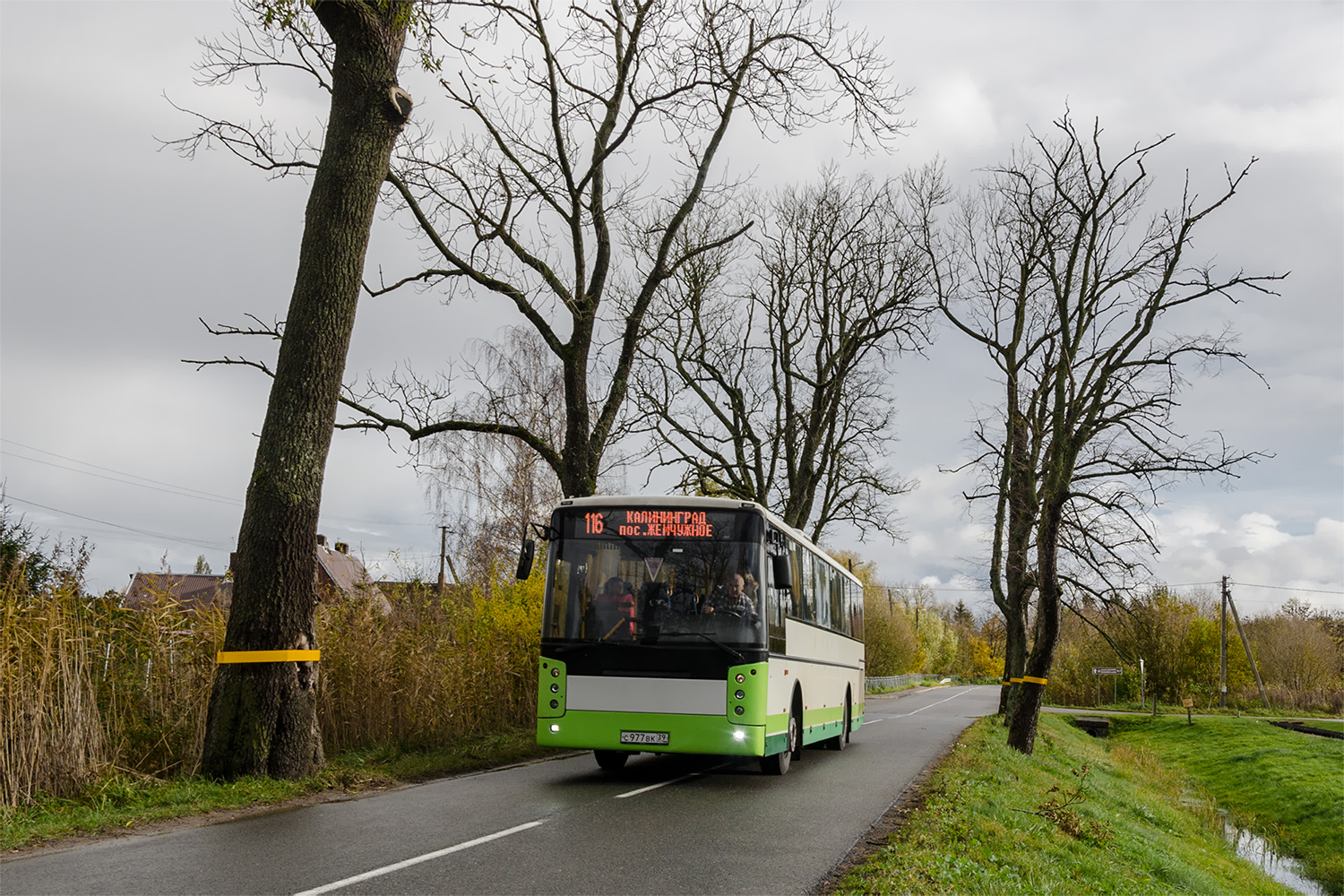 Калининградская область, Vest Contrast № С 977 ВК 39