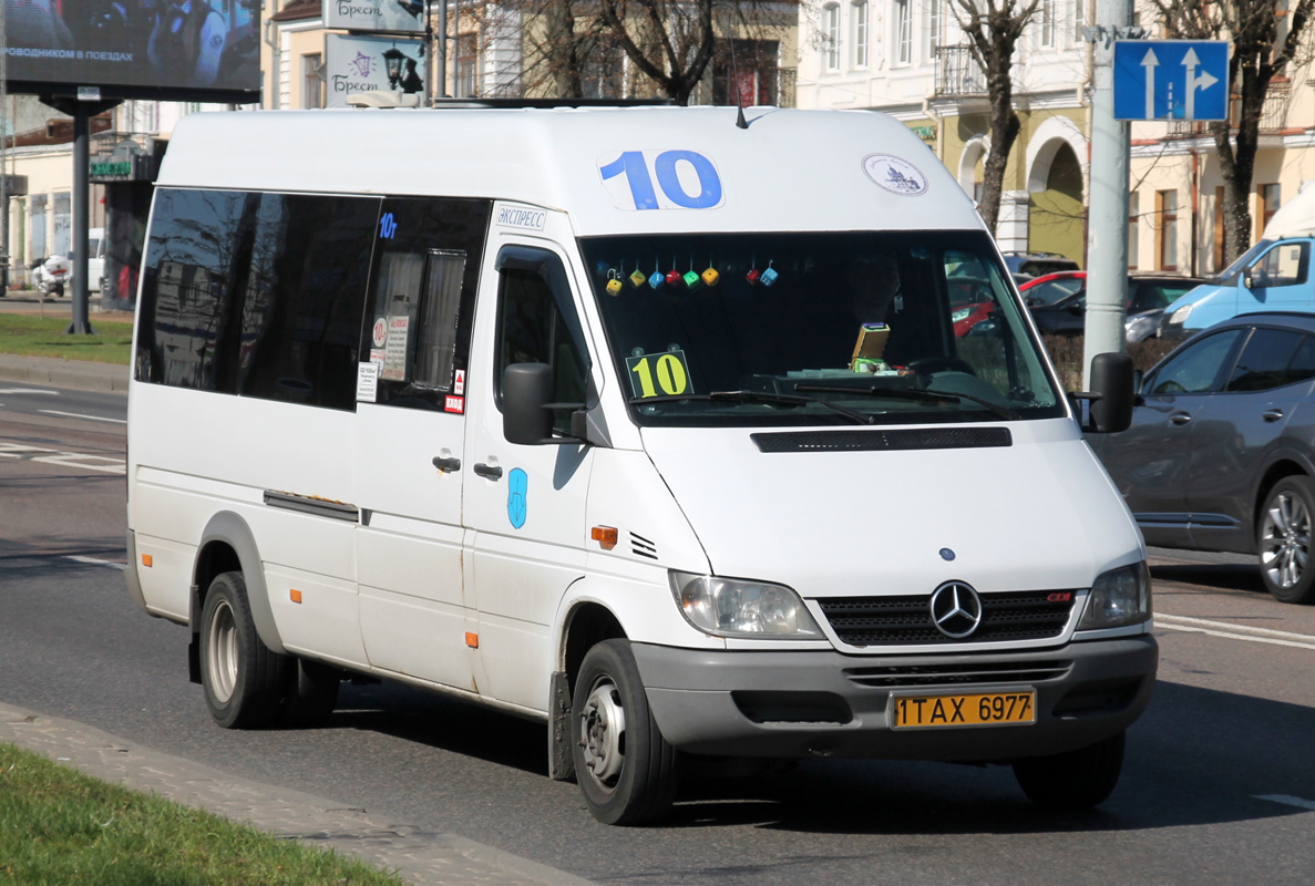 Брестская область, Mercedes-Benz Sprinter № 1 ТАХ 6977