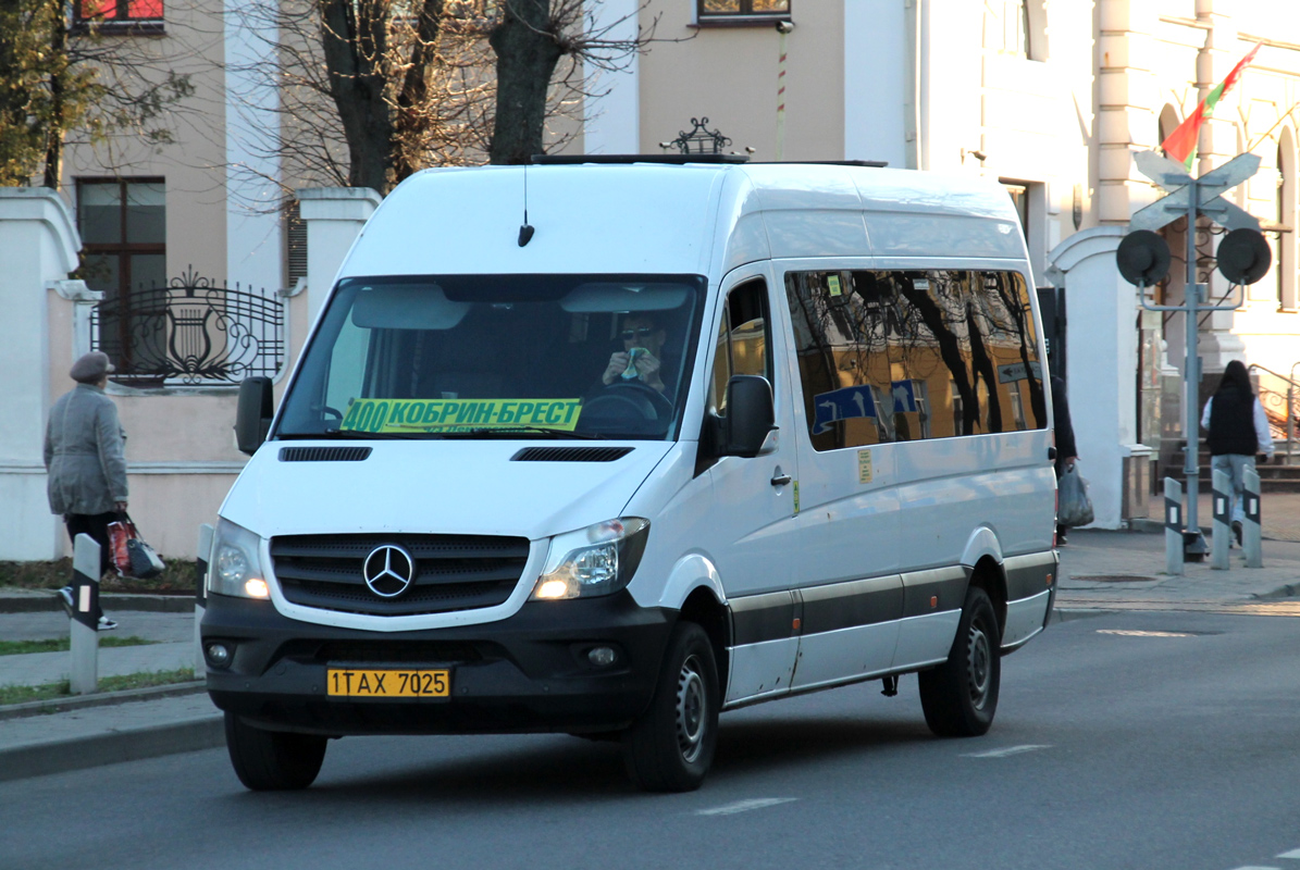 Брестская область, Бус-Мастер 3515N/R (MB Sprinter) № 1 ТАХ 7025