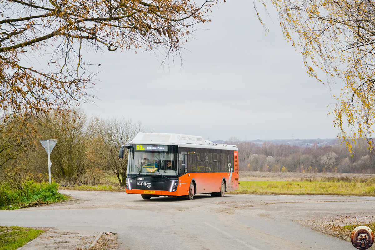 Нижегородская область, ЛиАЗ-5292.67 (CNG) № 32100; Нижегородская область — Автовокзалы, автостанции, конечные остановки и станции