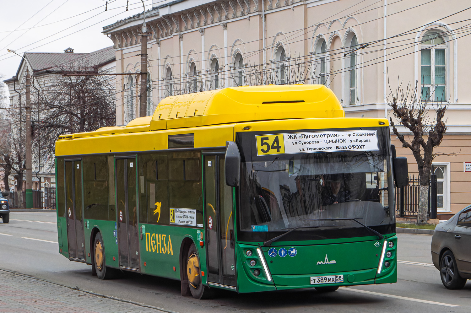 Пензенская область, МАЗ-203.948 № Т 389 МХ 58