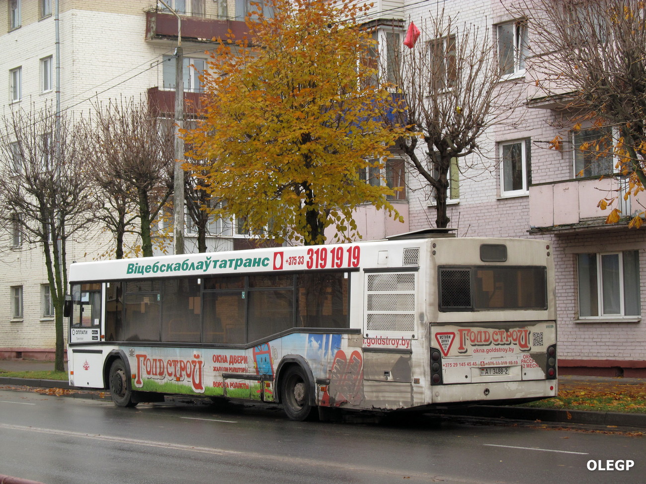 Витебская область, МАЗ-103.468 № 10189