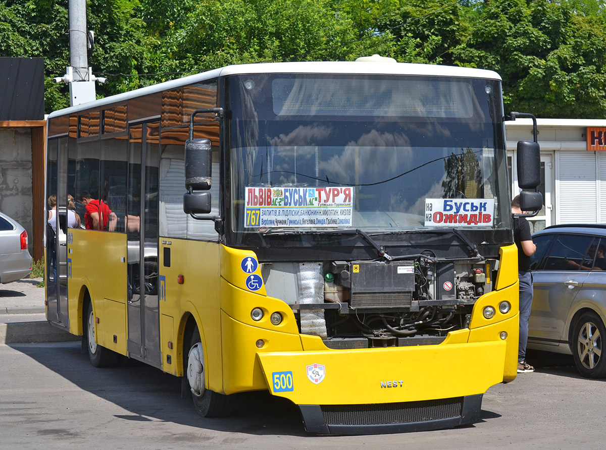 Львовская область, NEST A0811 № 500