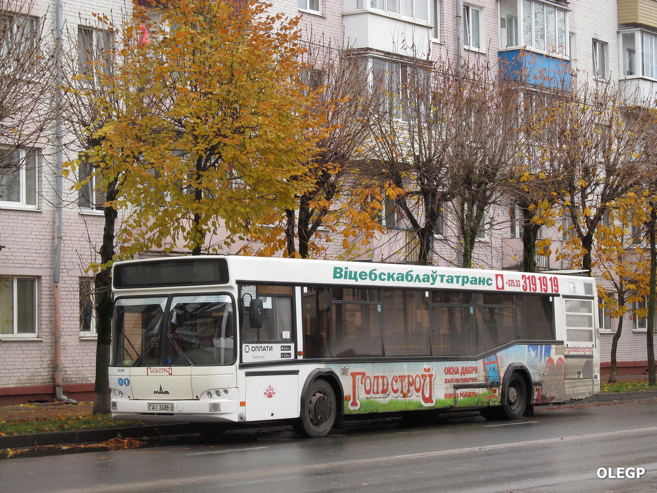 Витебская область, МАЗ-103.468 № 10189