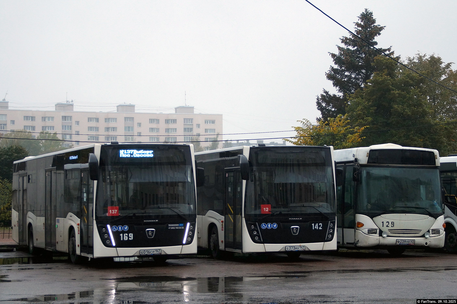 Ленинградская область, НефАЗ-5299-30-52 № 169