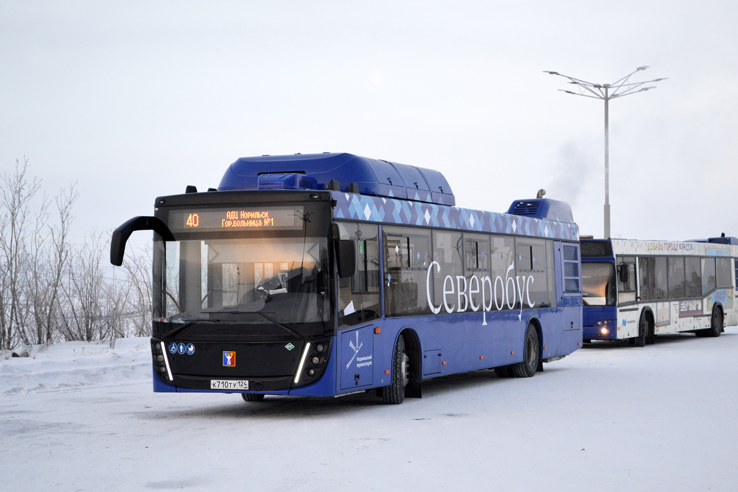 Красноярский край, МАЗ-203.948 № К 710 ТУ 124