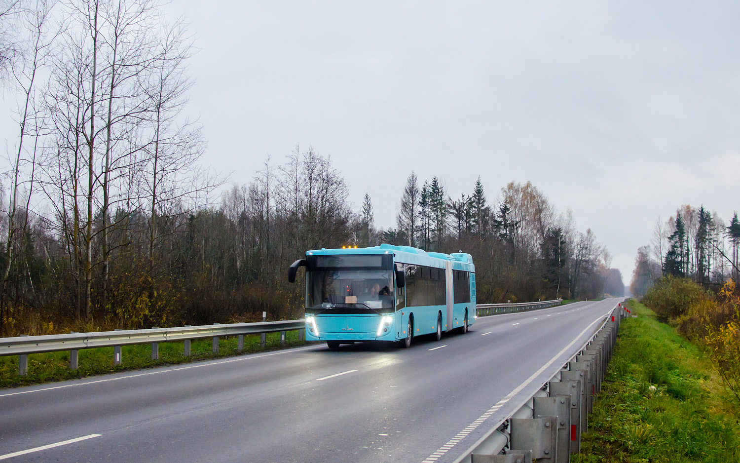 Санкт-Петербург — Новые автобусы