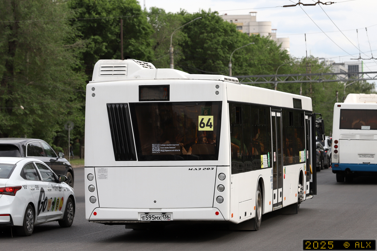 Воронежская область, МАЗ-203.147 № Е 595 МХ 136