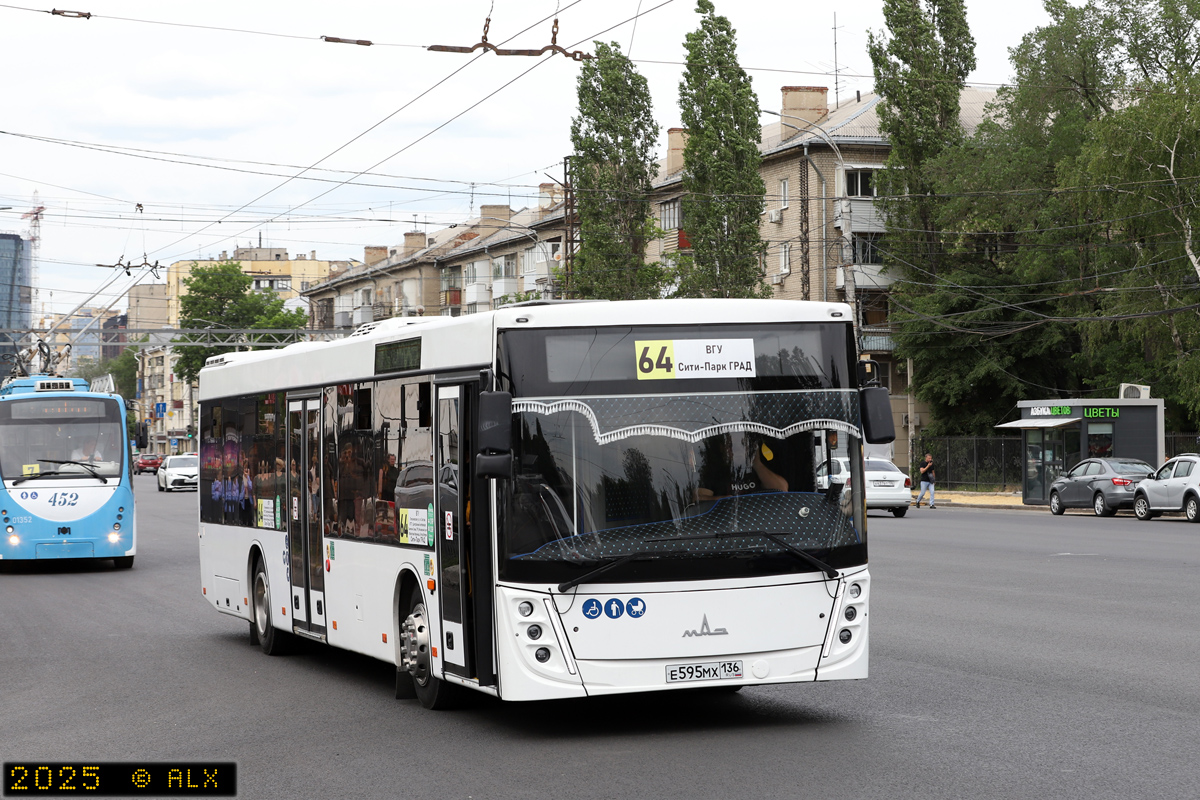 Воронежская область, МАЗ-203.147 № Е 595 МХ 136