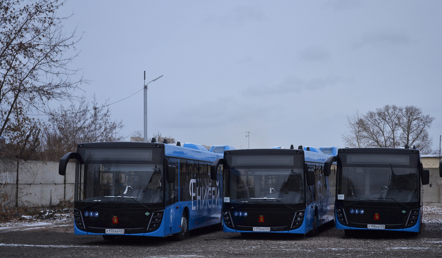 Красноярский край, МАЗ-203.947 № У 170 АВ 224