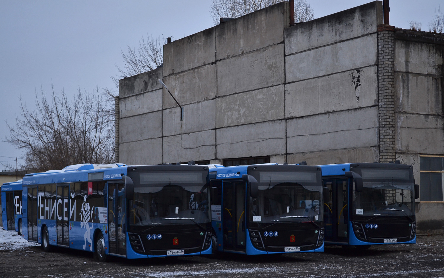 Красноярский край, МАЗ-203.947 № У 184 АВ 224