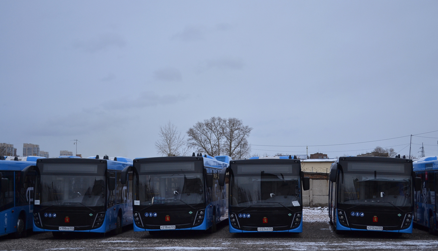 Красноярский край, МАЗ-203.947 № У 198 АВ 224