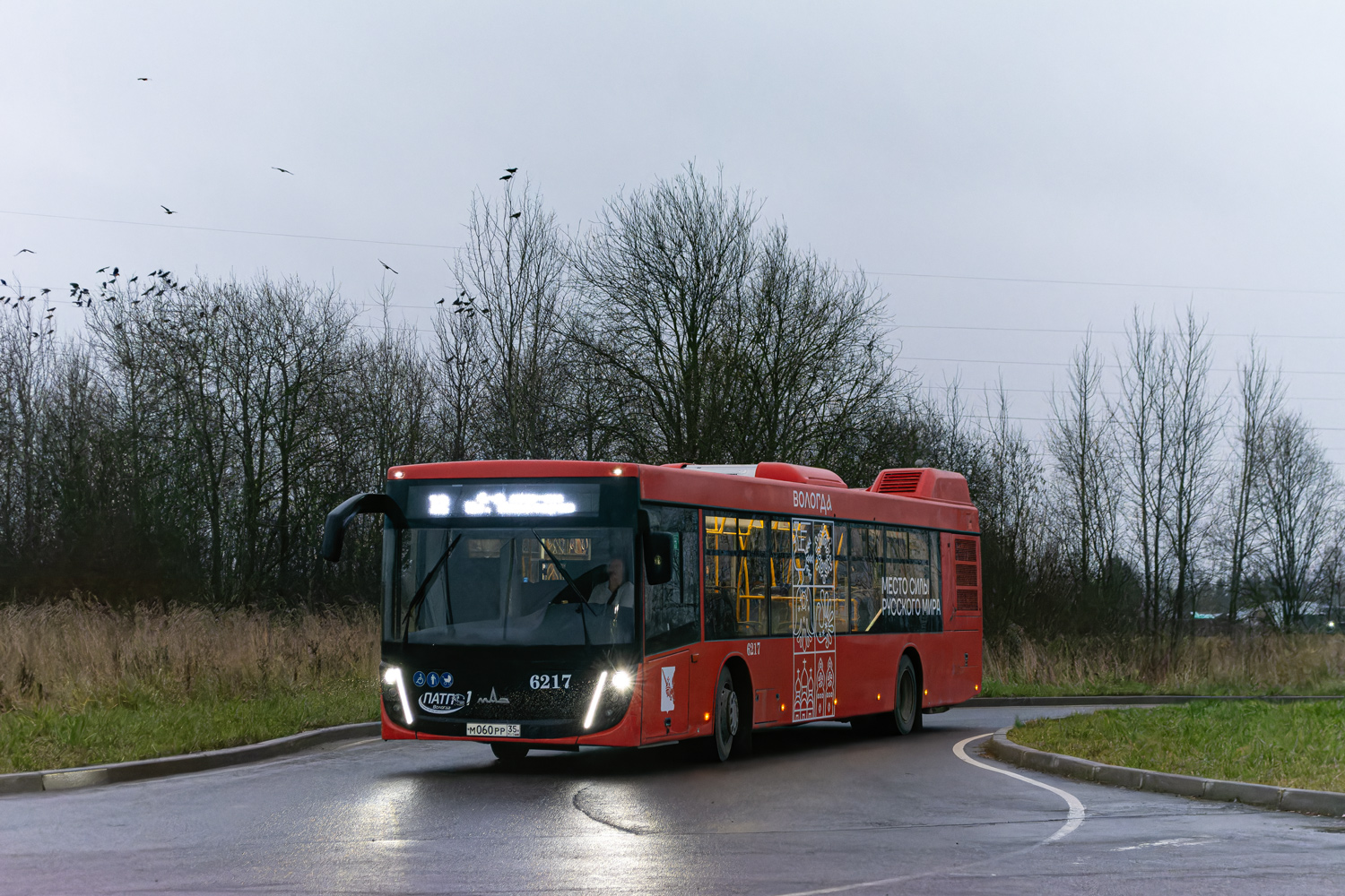 Вологодская область, МАЗ-203.047 № 6217