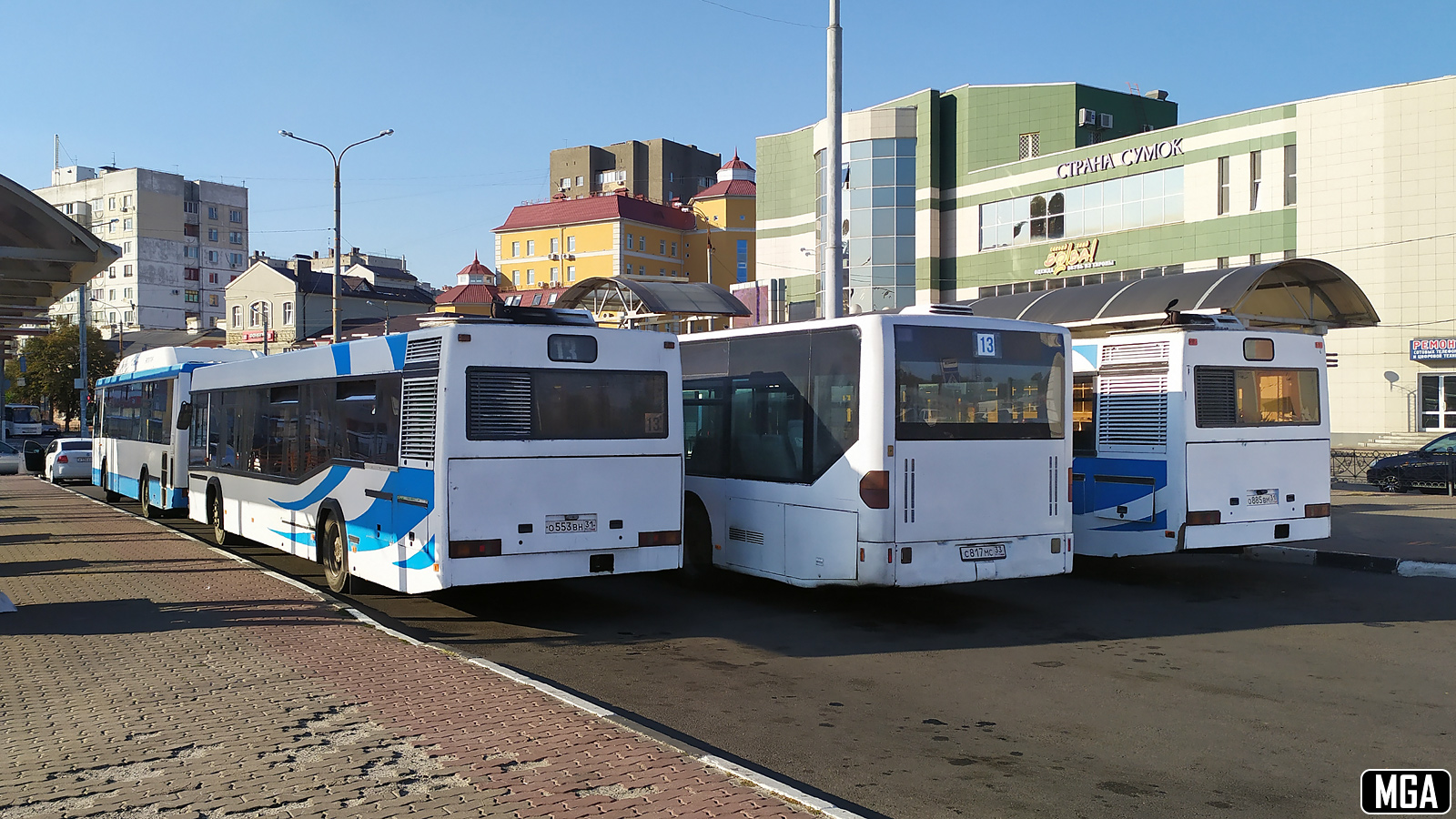 Белгородская область, МАЗ-103.075 № О 553 ВН 31