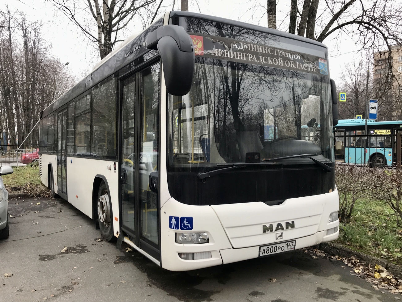 Ленинградская область, MAN A78 Lion's City LE EL283 № А 800 РО 147