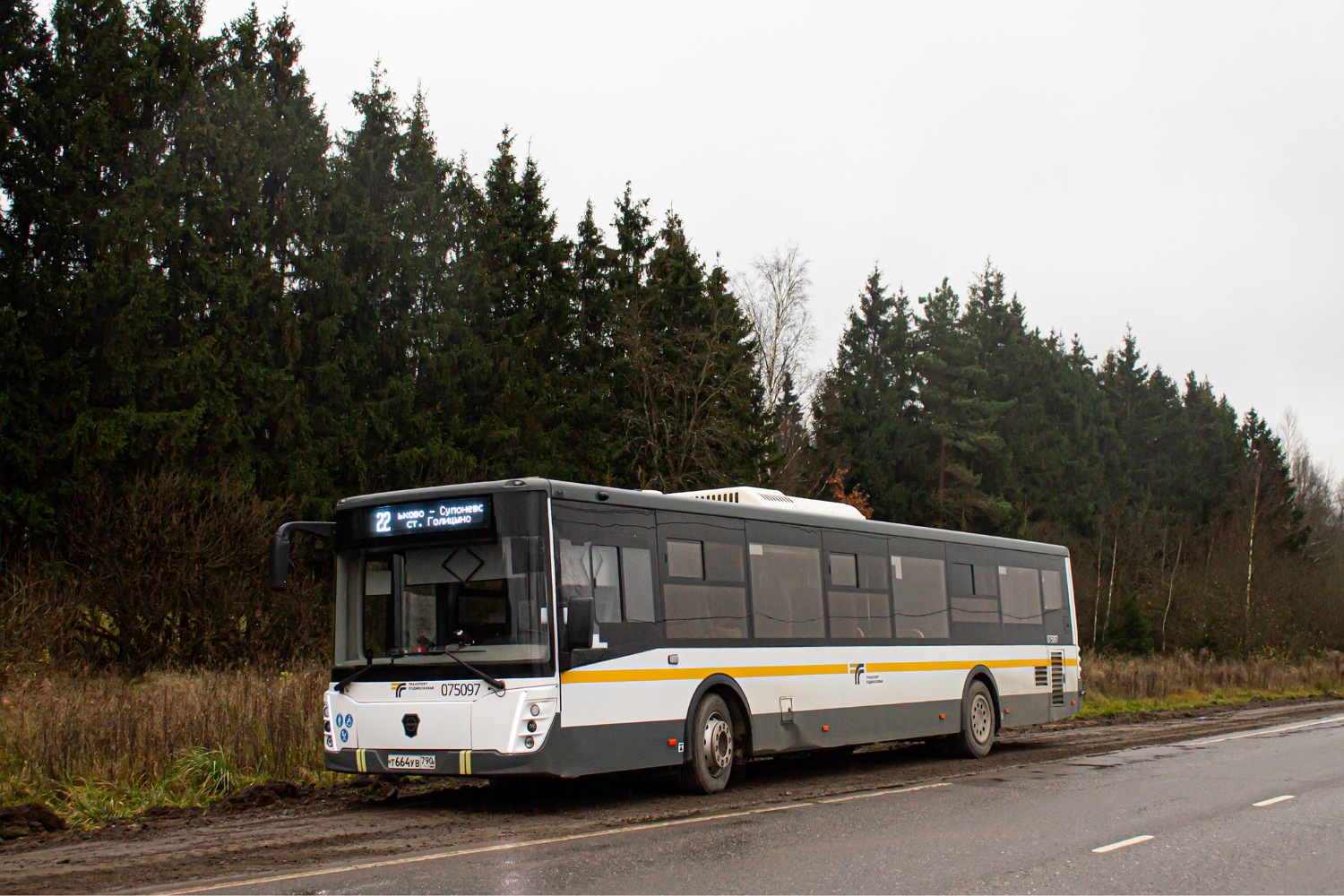 Московская область, ЛиАЗ-5292.65-03 № 075097