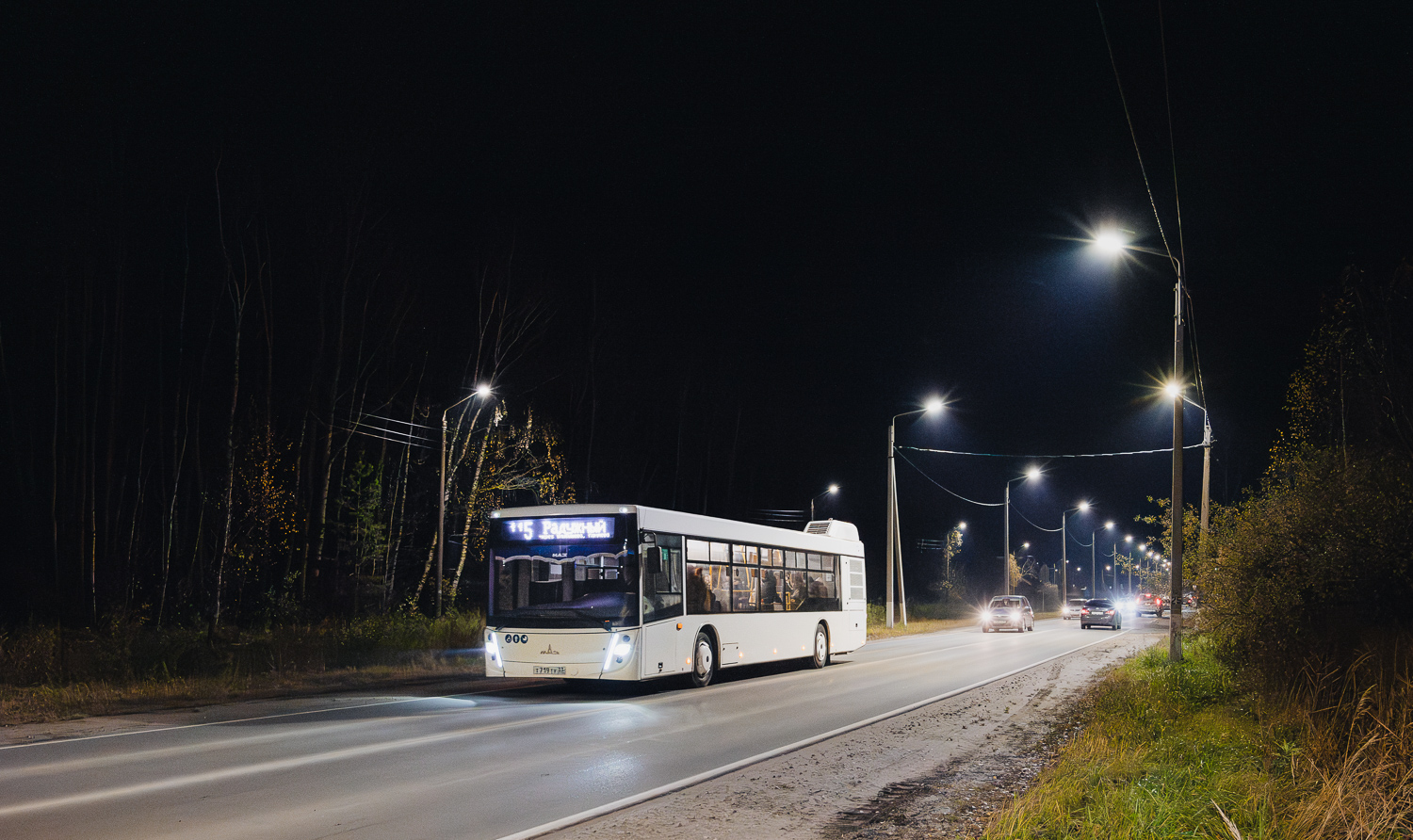 Владимирская область, МАЗ-203.047 № Т 719 ТУ 33