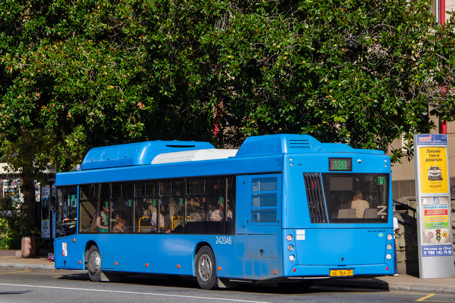 Краснодарский край, МАЗ-203.С65 № 242046