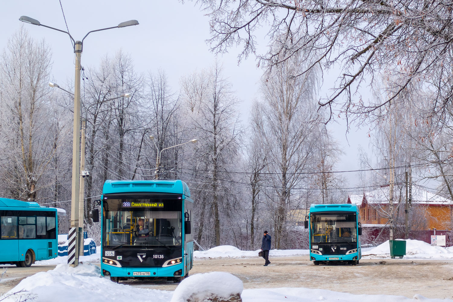 Санкт-Петербург, Volgabus-4298.G4 (CNG) № 10145; Санкт-Петербург, Volgabus-4298.G4 (CNG) № 10135; Санкт-Петербург, Volgabus-4298.G4 (CNG) № 10133; Санкт-Петербург — Автобусные станции