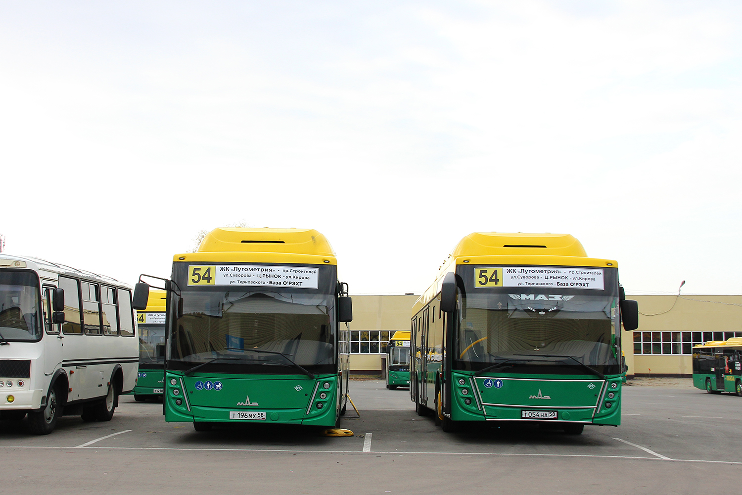 Пензенская область, МАЗ-203.948 № Т 196 МХ 58; Пензенская область, МАЗ-203.948 № Т 054 НА 58; Пензенская область — АТП