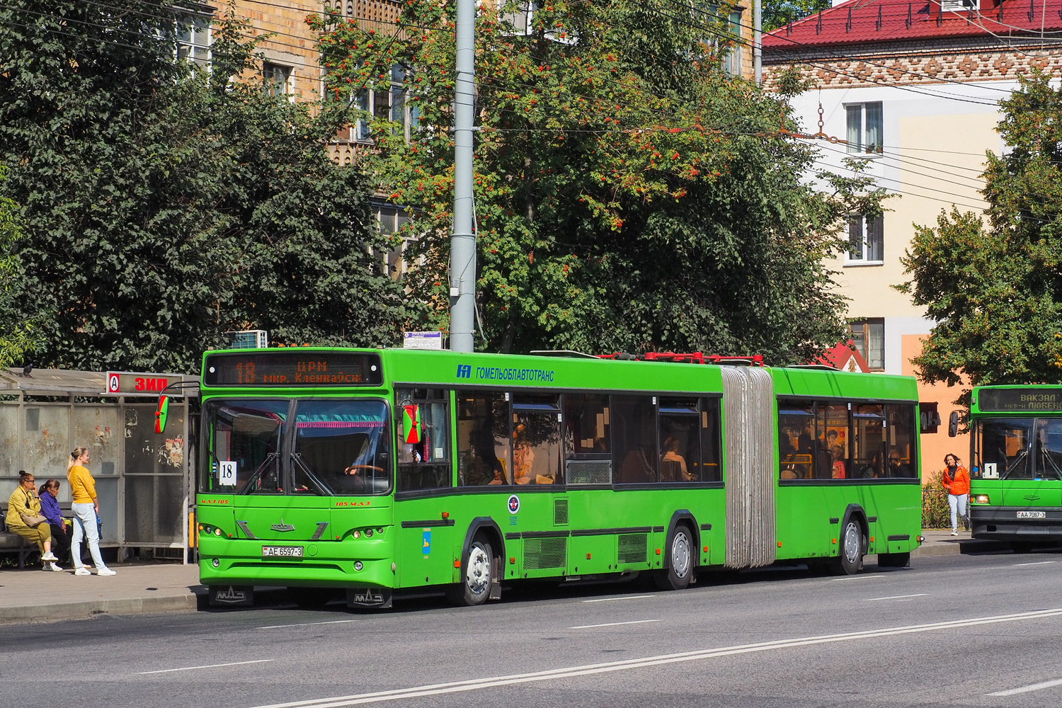 Гомельская область, МАЗ-105.465 № 015474