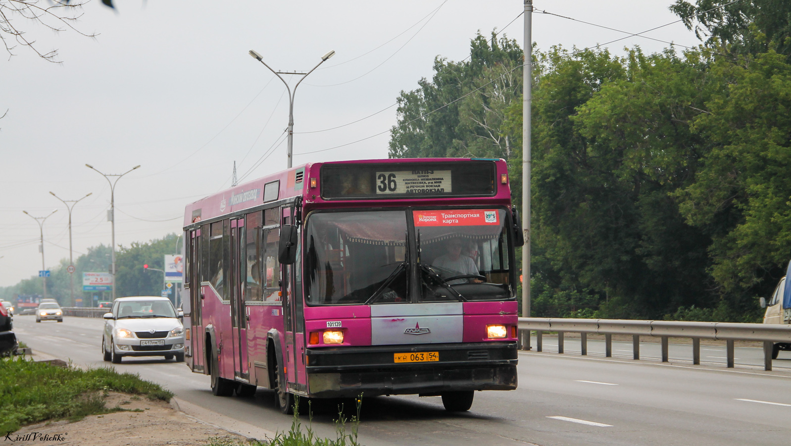 Новосибирская область, МАЗ-104.021 № 3559