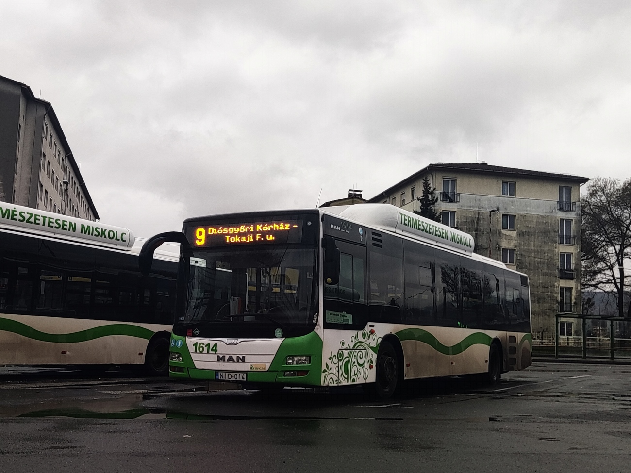 Венгрия, MAN A21 Lion's City NL273 CNG № 1614