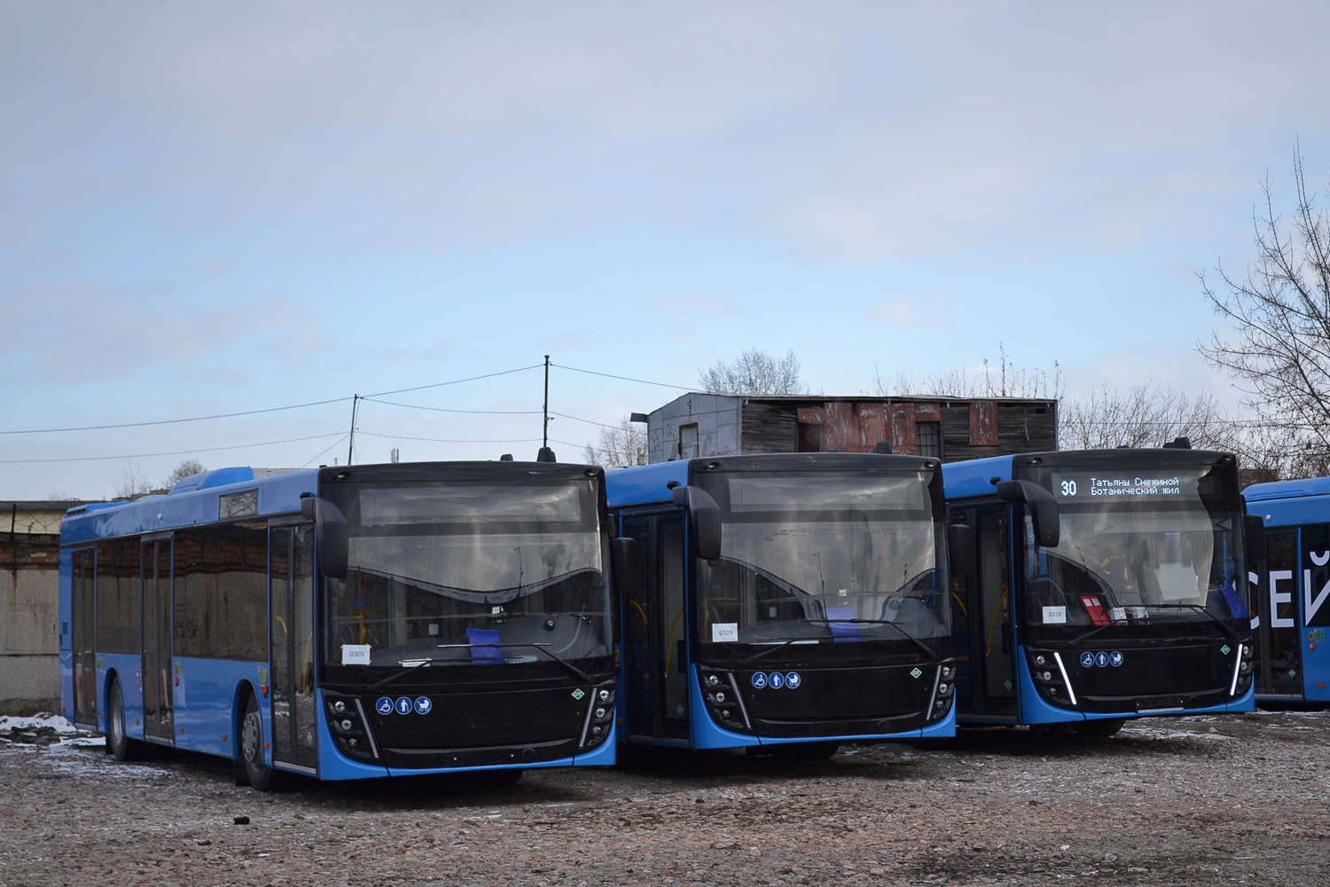 Красноярский край — Автобусы без номеров