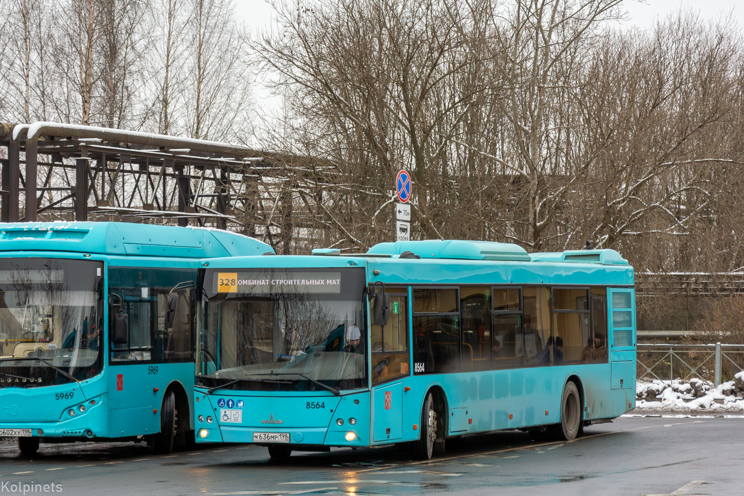 Санкт-Петербург, МАЗ-203.016 № 8564