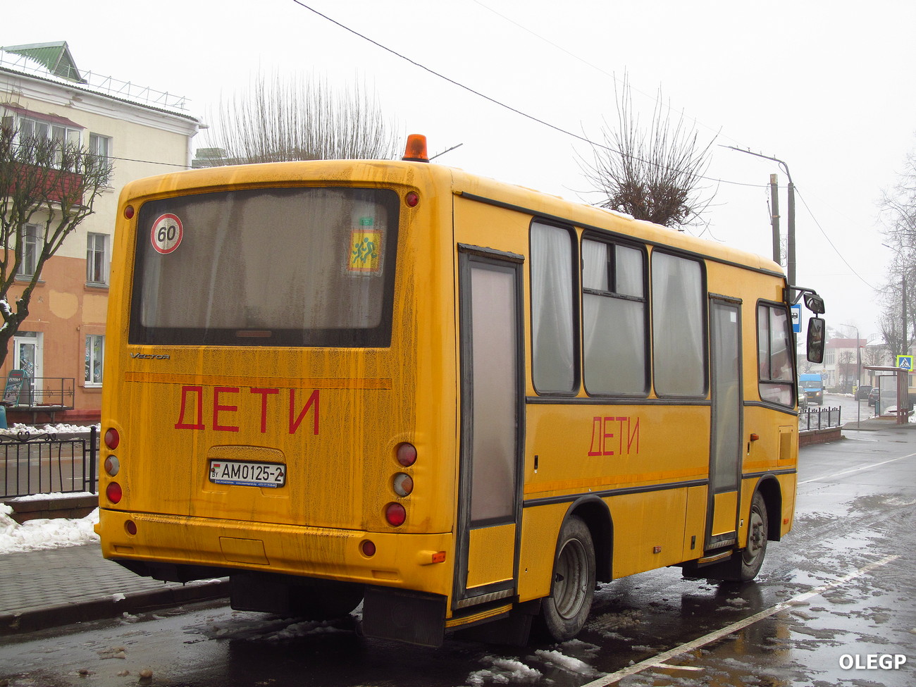 Витебская область, ПАЗ-320370-08 № АМ 0125-2