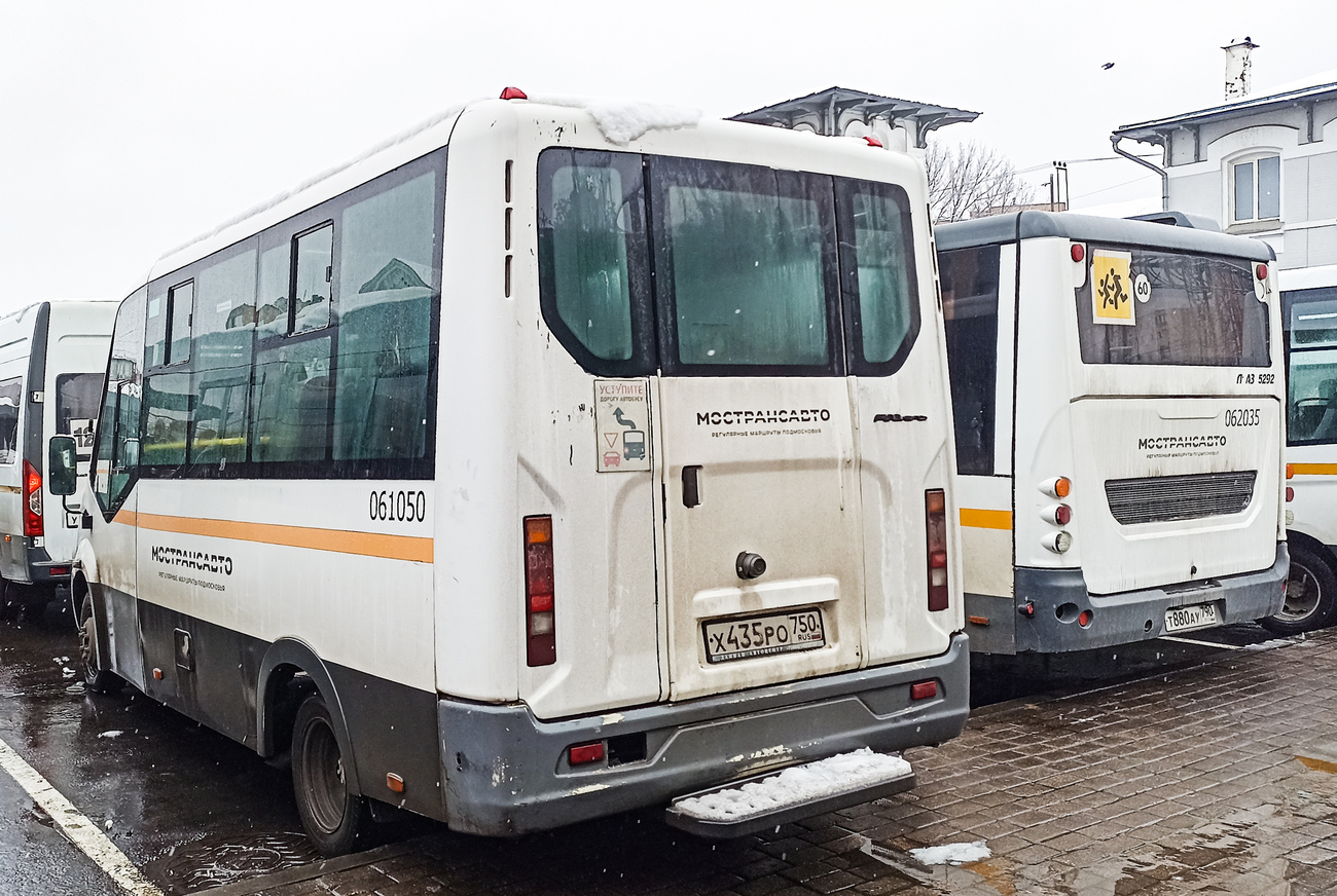 Московская область, Луидор-2250DS (ГАЗ Next) № 061050