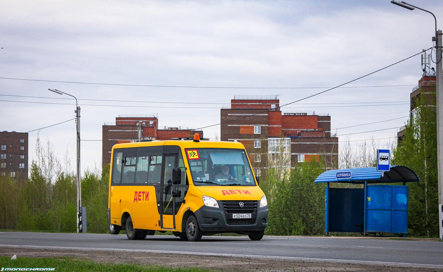 Томская область, Луидор-2250N9 (ГАЗ Next) № Е 524 ЕО 70