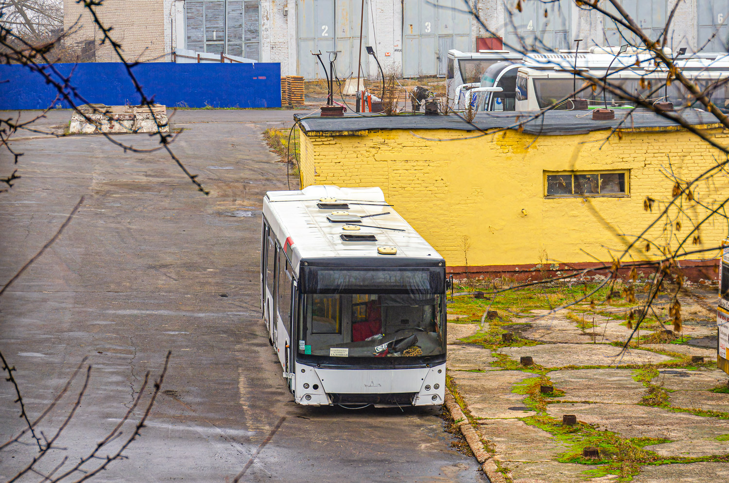 Гомельская область, МАЗ-203.065 № 014168; Гомельская область &mdash; Разные фотографии